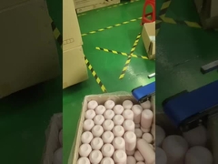 آلة الطباعة الشاشية وآلة التعبئة